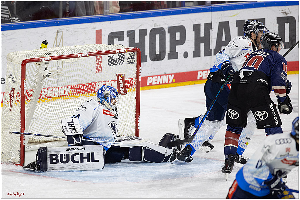 PENNY DEL 1; Kölner Haie - ERC Ingolstadt; Köln, 13.10.2024