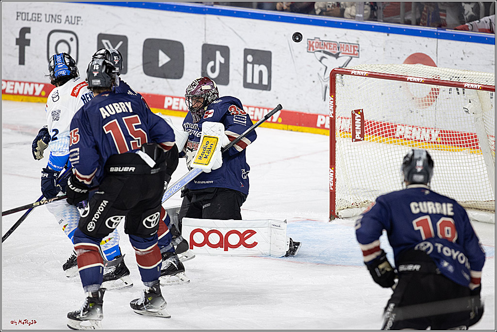 PENNY DEL 1; Kölner Haie - ERC Ingolstadt; Köln, 13.10.2024