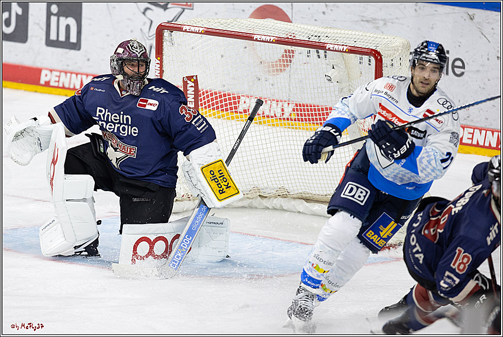 PENNY DEL 1; Kölner Haie - ERC Ingolstadt; Köln, 13.10.2024