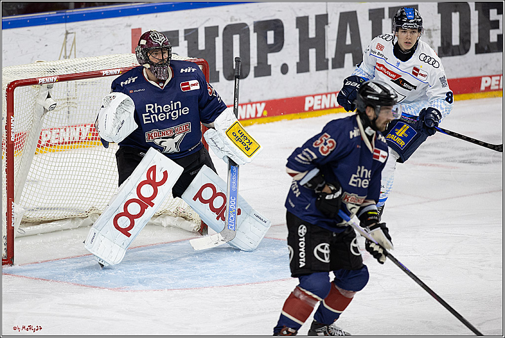 PENNY DEL 1; Kölner Haie - ERC Ingolstadt; Köln, 13.10.2024