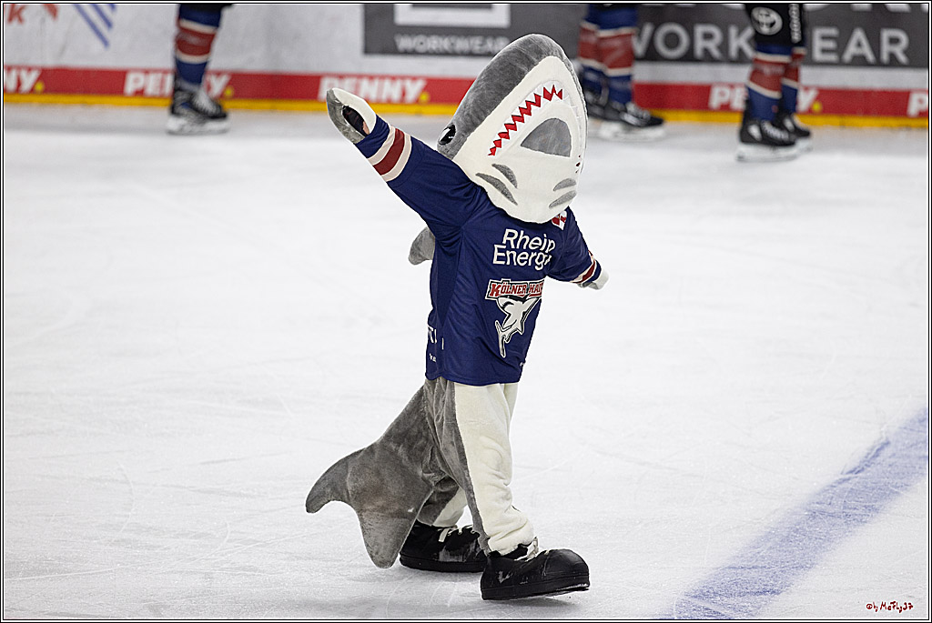 PENNY DEL 1; Kölner Haie - ERC Ingolstadt; Köln, 13.10.2024
