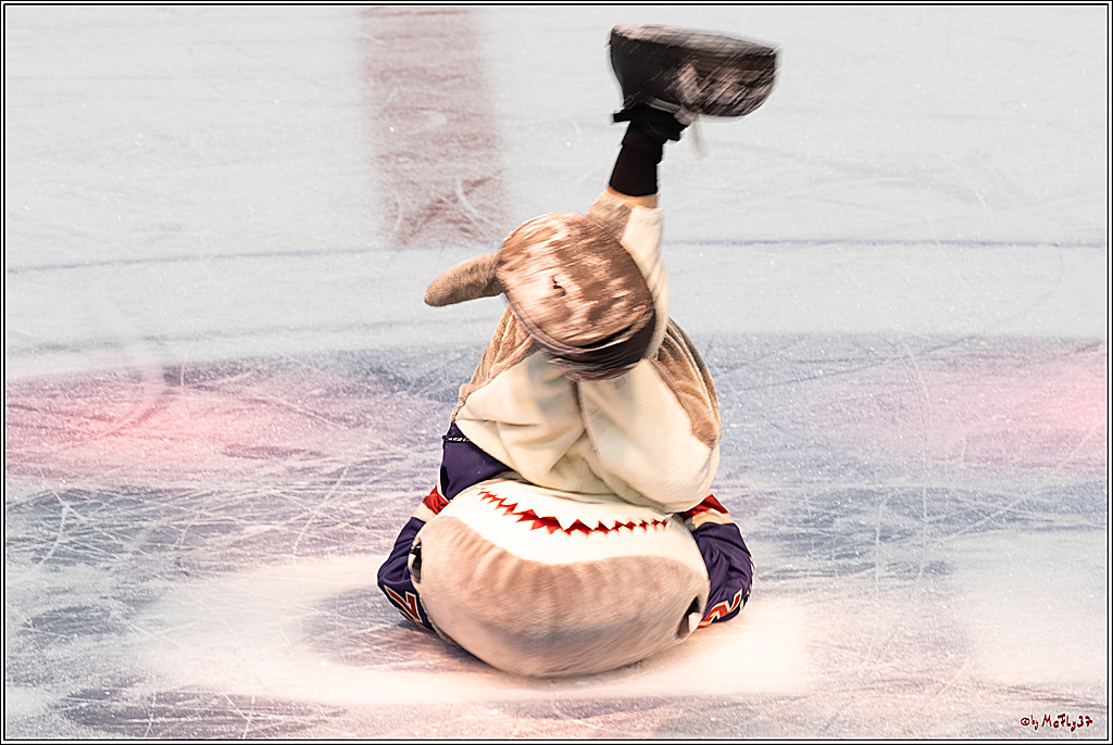 PENNY DEL 1; Kölner Haie - ERC Ingolstadt; Köln, 13.10.2024