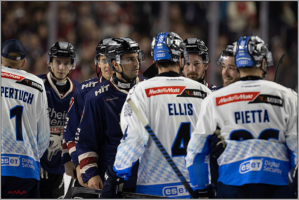PENNY DEL 1; Kölner Haie - ERC Ingolstadt; Köln, 13.10.2024