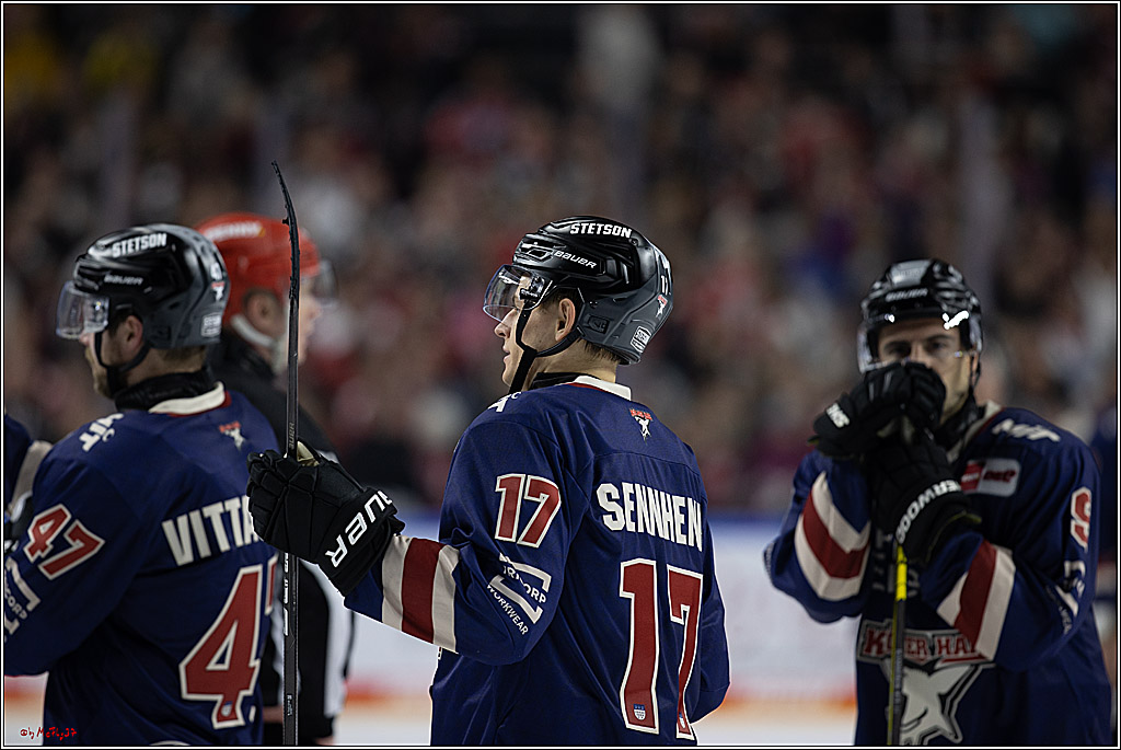 PENNY DEL 1; Kölner Haie - ERC Ingolstadt; Köln, 13.10.2024