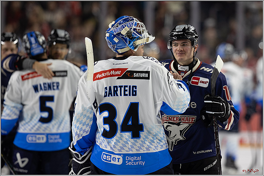 PENNY DEL 1; Kölner Haie - ERC Ingolstadt; Köln, 13.10.2024