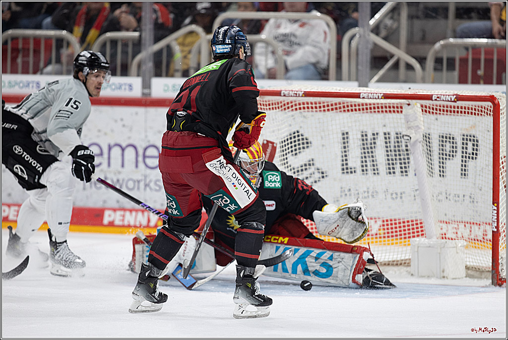 PENNY DEL 1; Düsseldorfer EG - Kölner Haie; Düsseldorf, 18.10.2024