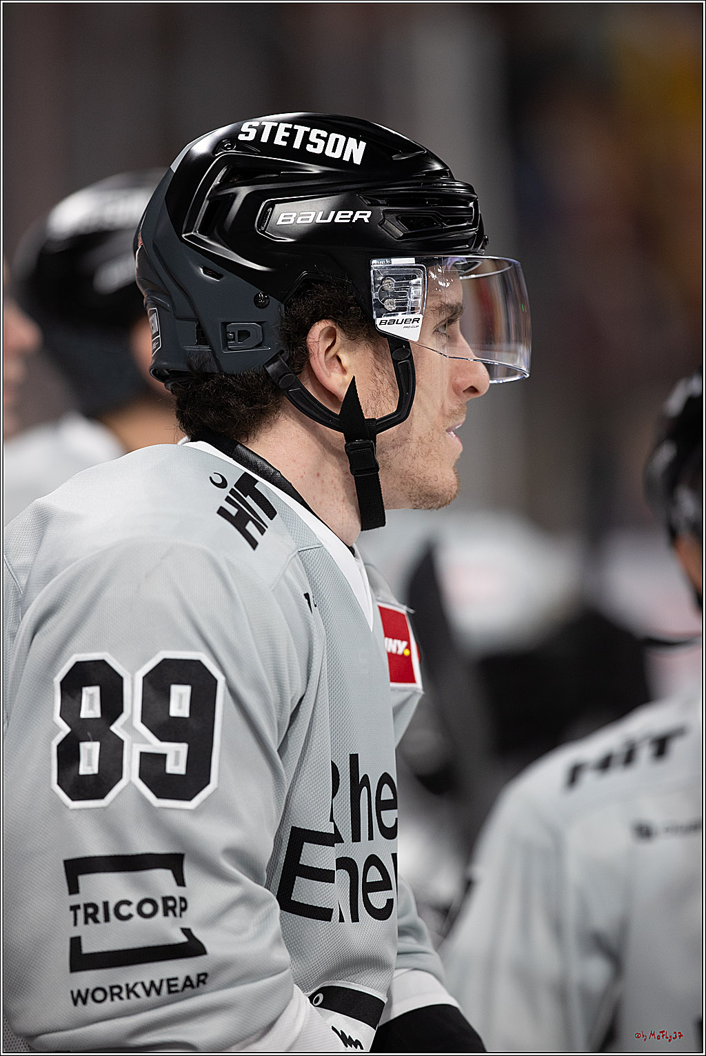 PENNY DEL 1; Düsseldorfer EG - Kölner Haie; Düsseldorf, 18.10.2024