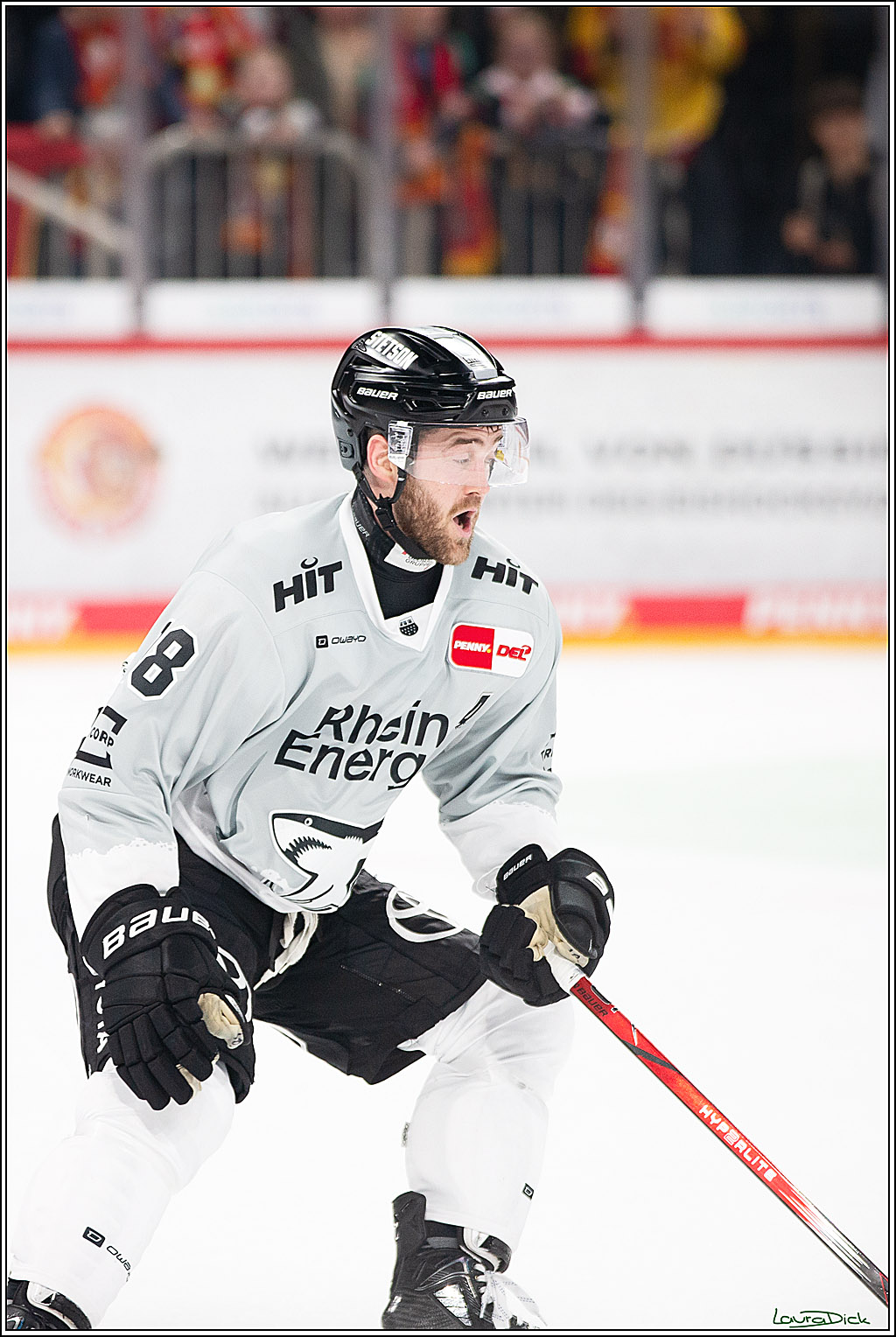 PENNY DEL; Duesseldorfer EG-Koelner Haie; Duesseldorf, 18.10.2024