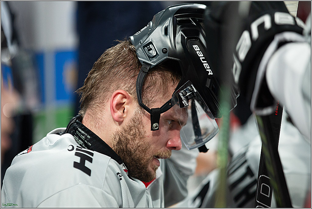 PENNY DEL; Duesseldorfer EG-Koelner Haie; Duesseldorf, 18.10.2024
