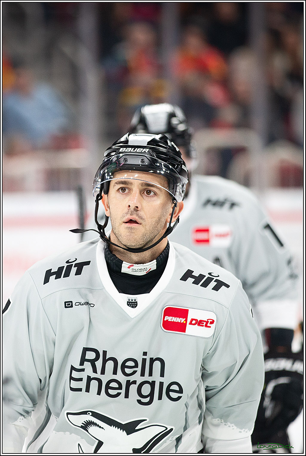 PENNY DEL; Duesseldorfer EG-Koelner Haie; Duesseldorf, 18.10.2024