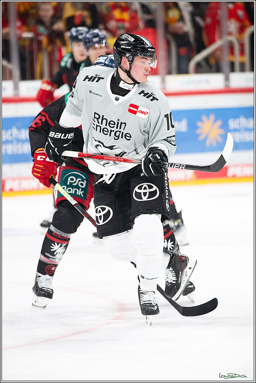 PENNY DEL; Duesseldorfer EG-Koelner Haie; Duesseldorf, 18.10.2024