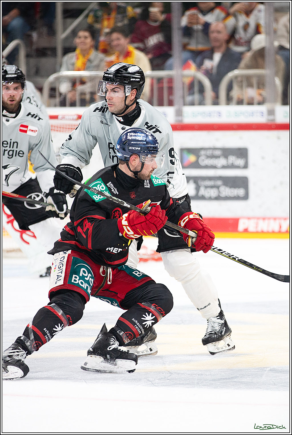 PENNY DEL; Duesseldorfer EG-Koelner Haie; Duesseldorf, 18.10.2024