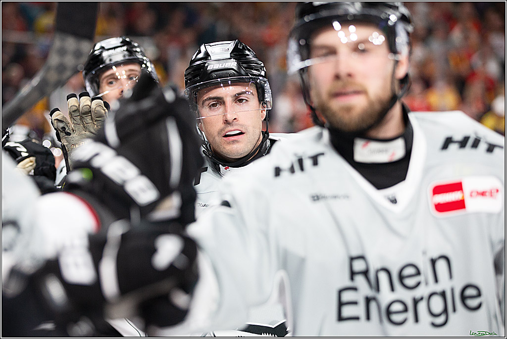 PENNY DEL; Duesseldorfer EG-Koelner Haie; Duesseldorf, 18.10.2024