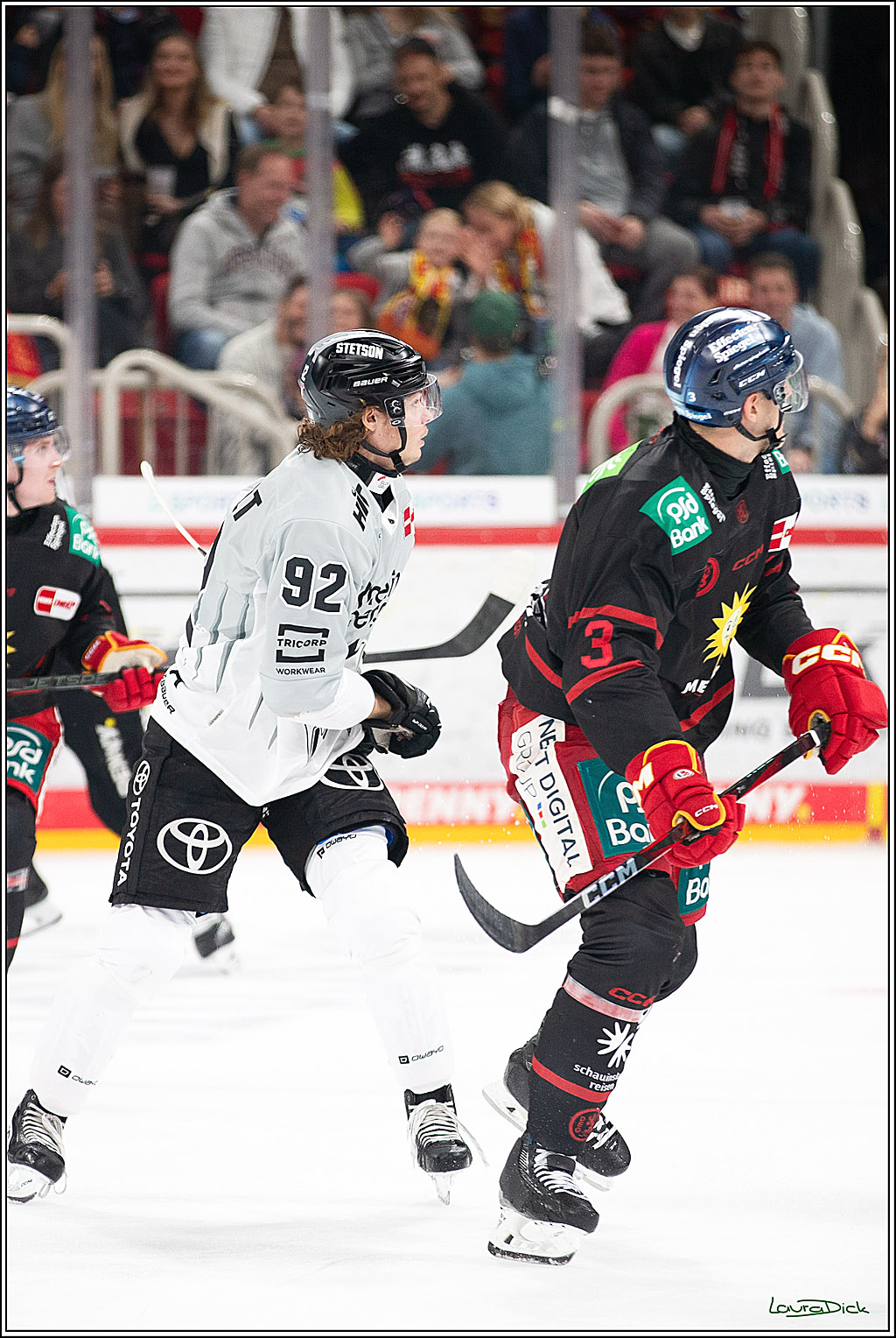 PENNY DEL; Duesseldorfer EG-Koelner Haie; Duesseldorf, 18.10.2024