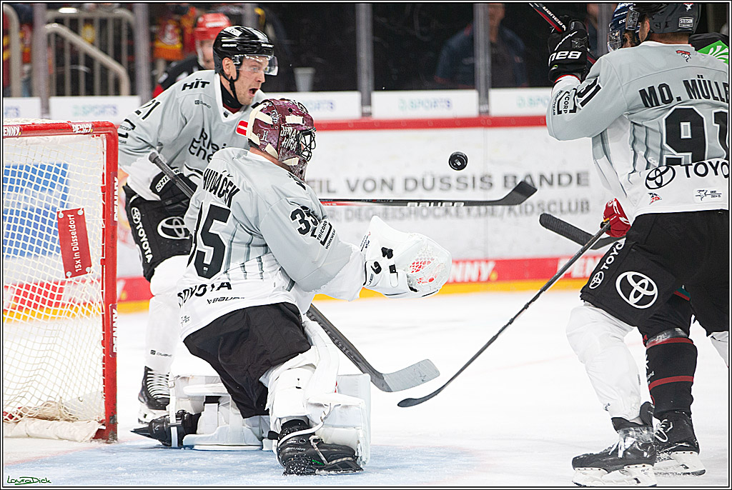 PENNY DEL; Duesseldorfer EG-Koelner Haie; Duesseldorf, 18.10.2024