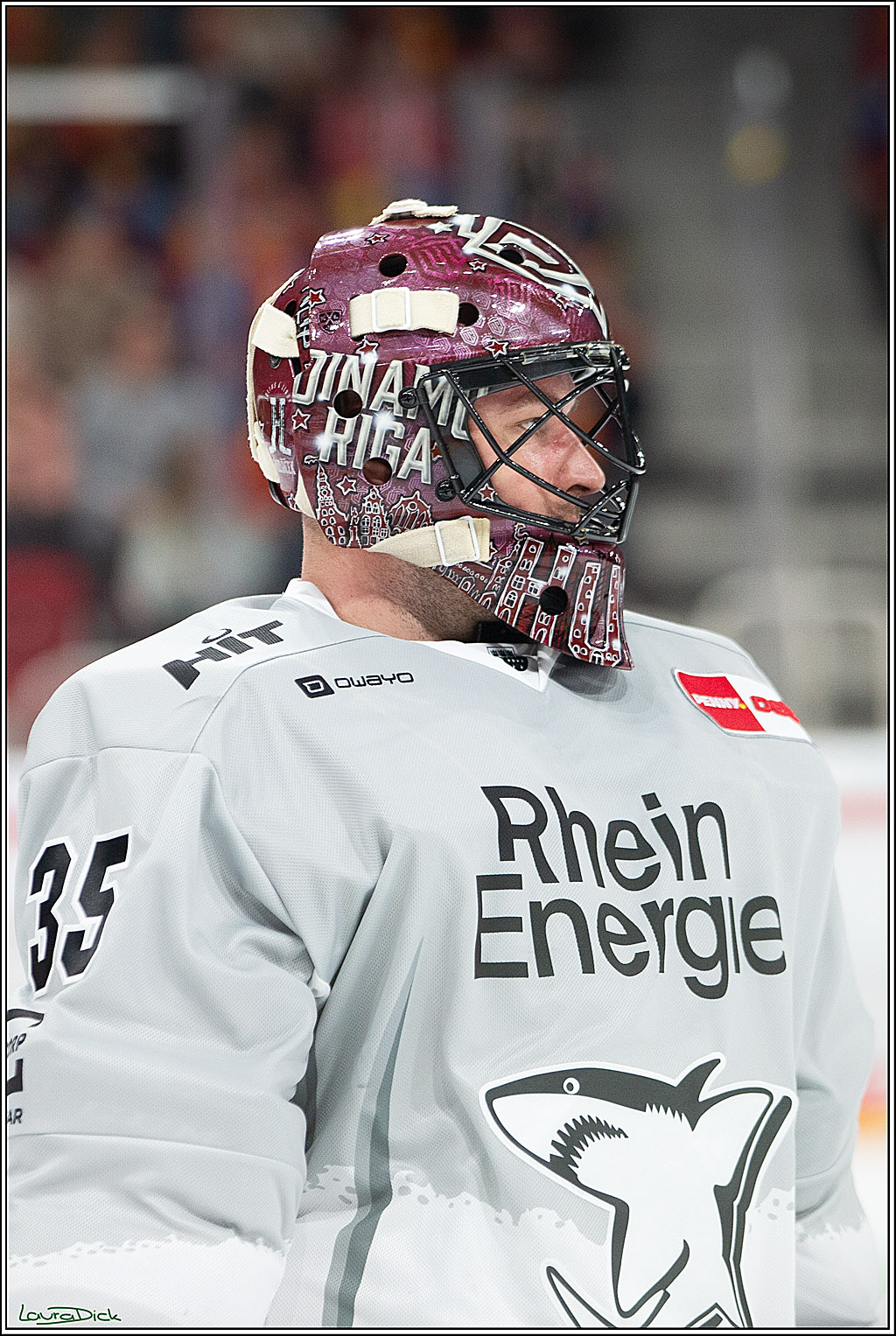 PENNY DEL; Duesseldorfer EG-Koelner Haie; Duesseldorf, 18.10.2024