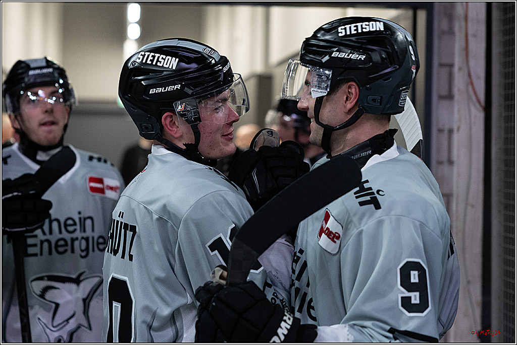 PENNY DEL 1; Düsseldorfer EG - Kölner Haie; Düsseldorf, 18.10.2024