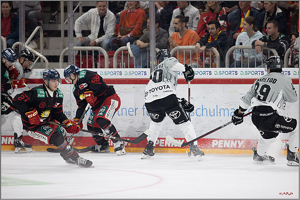 PENNY DEL 1; Düsseldorfer EG - Kölner Haie; Düsseldorf, 18.10.2024