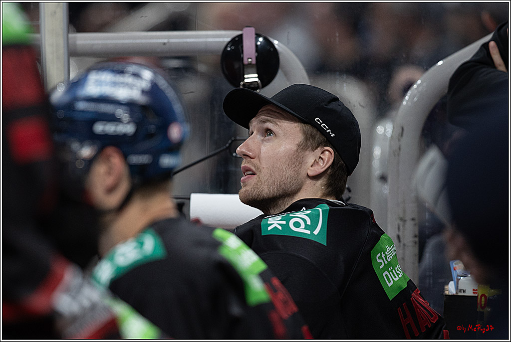 PENNY DEL 1; Düsseldorfer EG - Kölner Haie; Düsseldorf, 18.10.2024