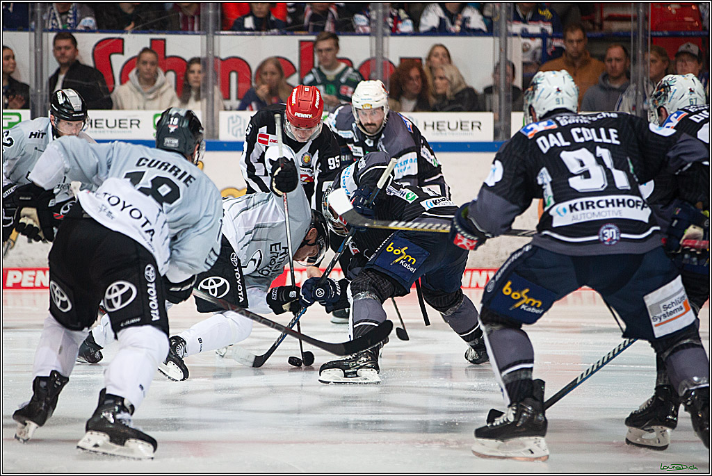 PENNY DEL; Iserlohn Roosters-Koelner Haie; Iserlohn, 20.10.2024