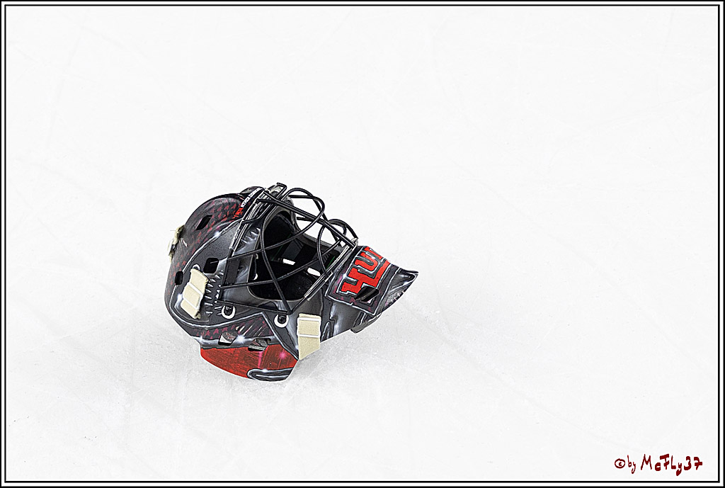 PENNY DEL 1; Kölner Haie - Grizzlys Wolfsburg; Köln, 27.10.2024