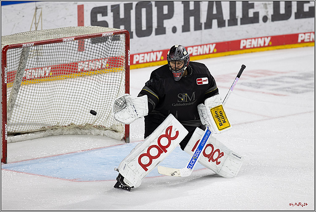 PENNY DEL 1; Kölner Haie - Grizzlys Wolfsburg; Köln, 27.10.2024