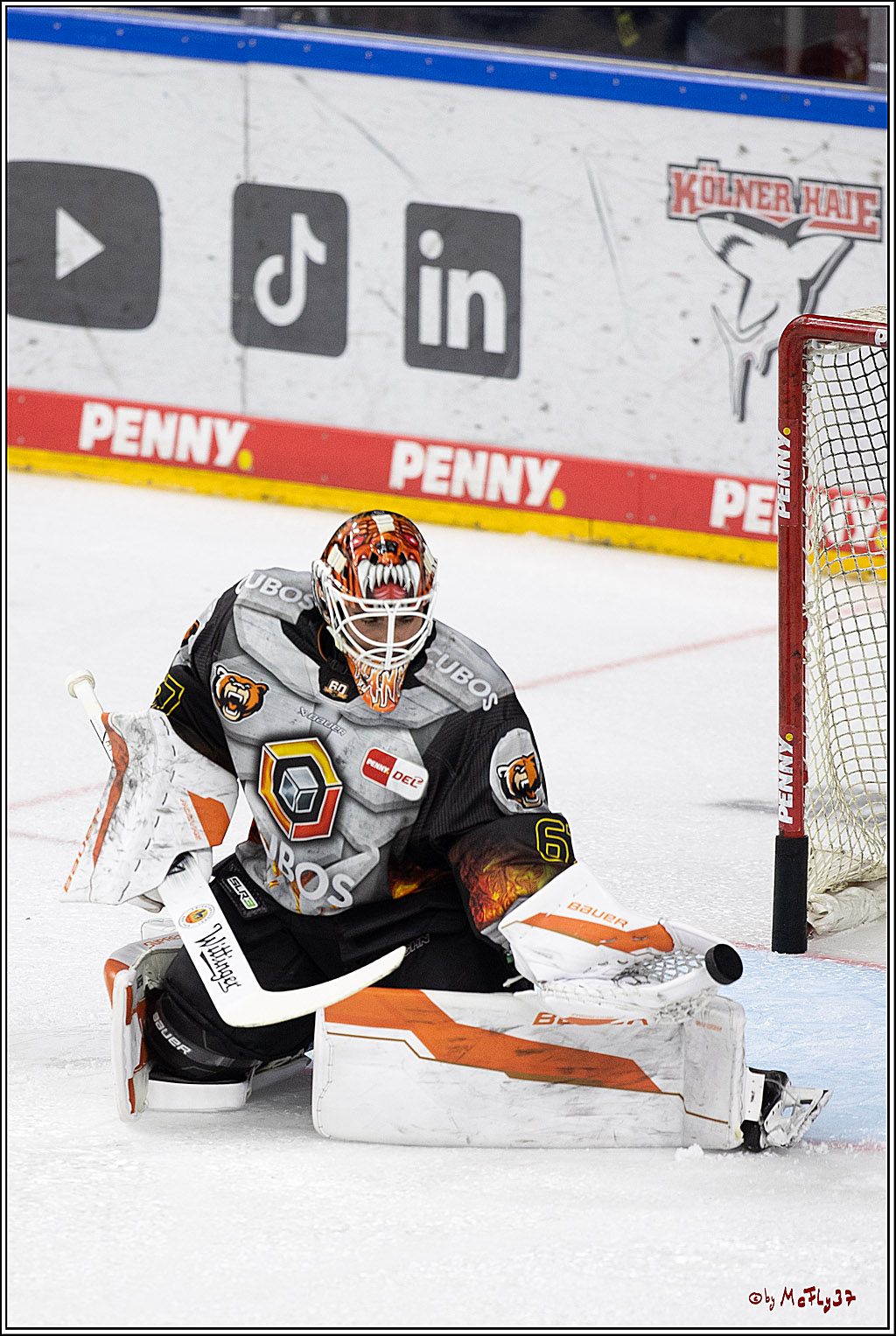 PENNY DEL 1; Kölner Haie - Grizzlys Wolfsburg; Köln, 27.10.2024