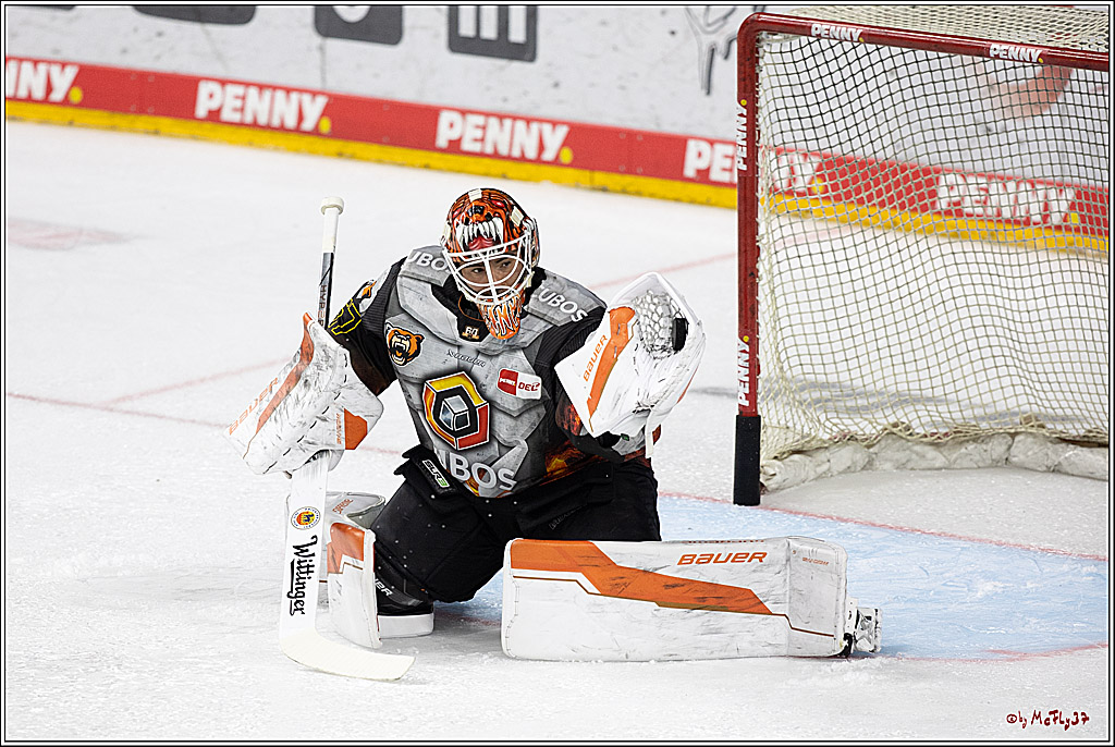 PENNY DEL 1; Kölner Haie - Grizzlys Wolfsburg; Köln, 27.10.2024