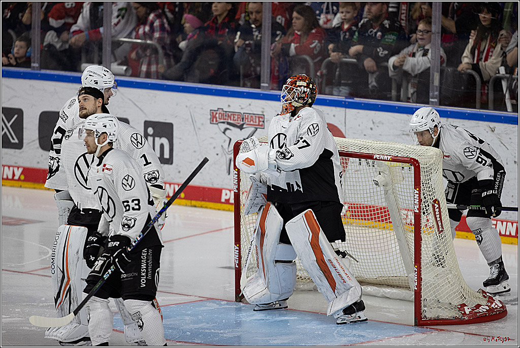PENNY DEL 1; Kölner Haie - Grizzlys Wolfsburg; Köln, 27.10.2024