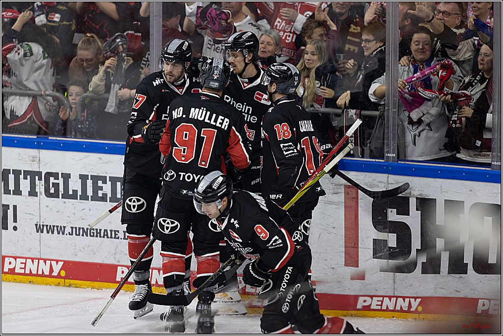 PENNY DEL 1; Kölner Haie - Grizzlys Wolfsburg; Köln, 27.10.2024