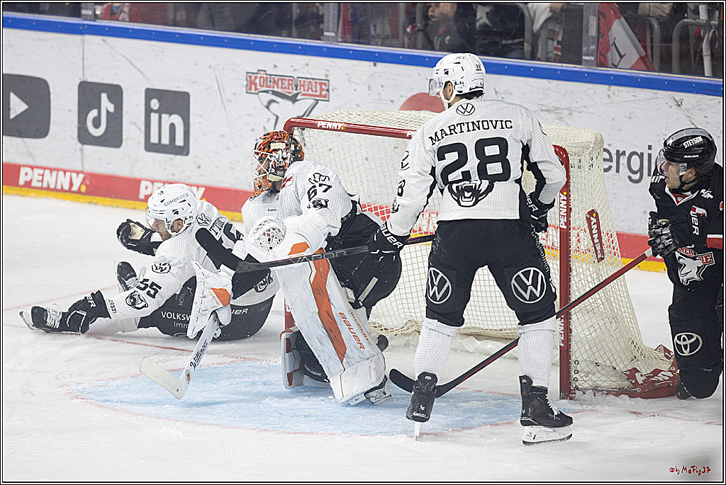 PENNY DEL 1; Kölner Haie - Grizzlys Wolfsburg; Köln, 27.10.2024