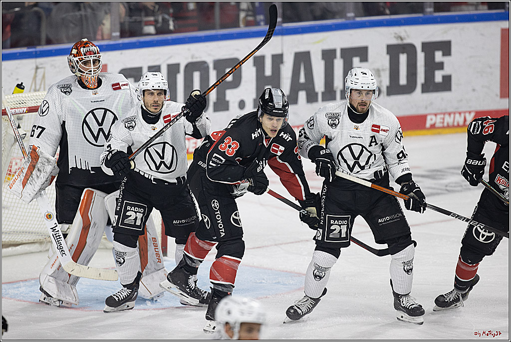 PENNY DEL 1; Kölner Haie - Grizzlys Wolfsburg; Köln, 27.10.2024