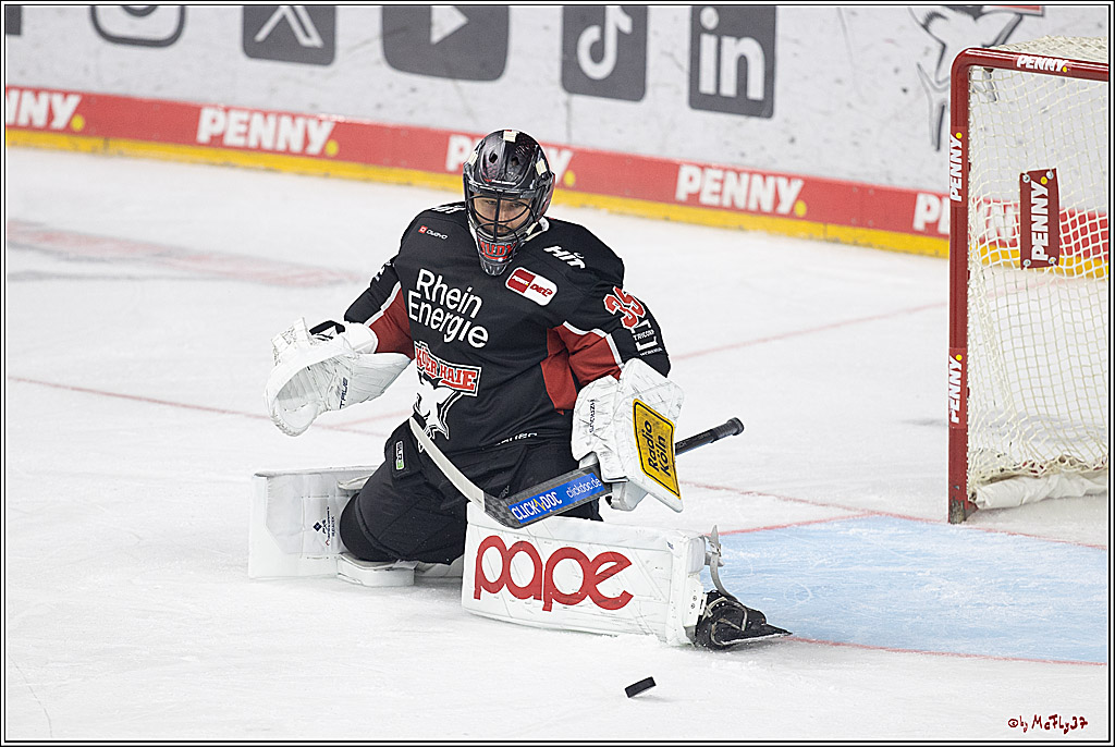 PENNY DEL 1; Kölner Haie - Grizzlys Wolfsburg; Köln, 27.10.2024
