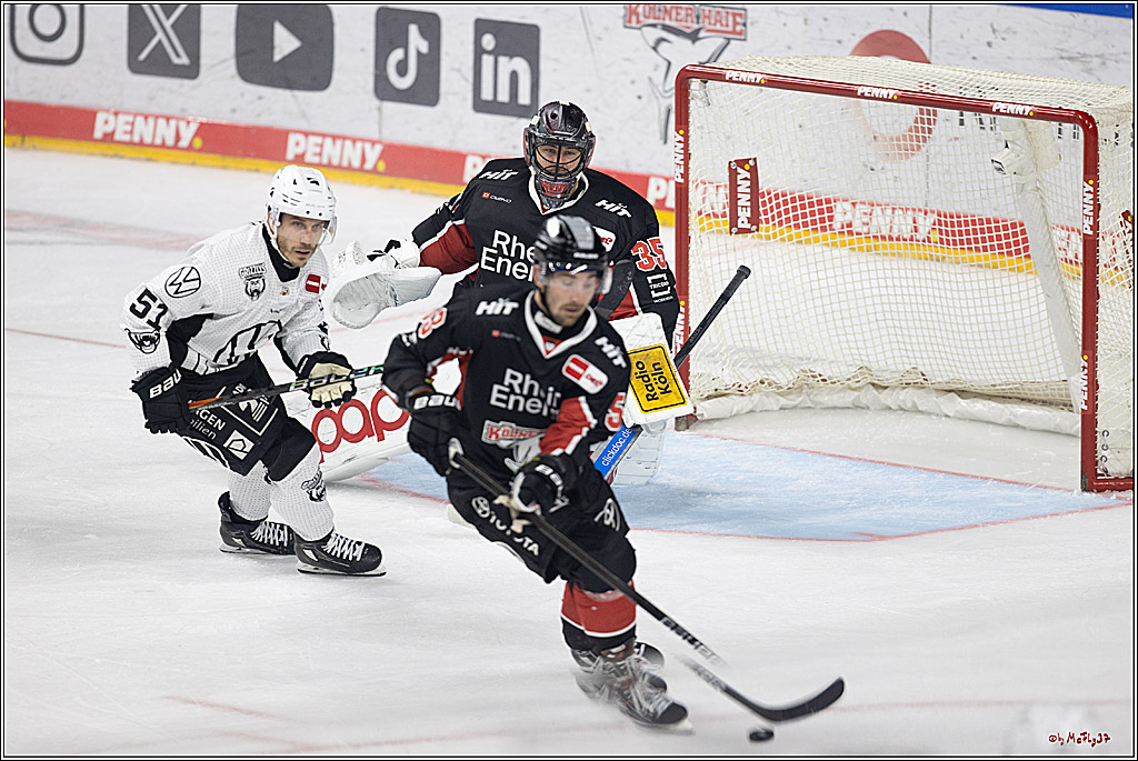PENNY DEL 1; Kölner Haie - Grizzlys Wolfsburg; Köln, 27.10.2024