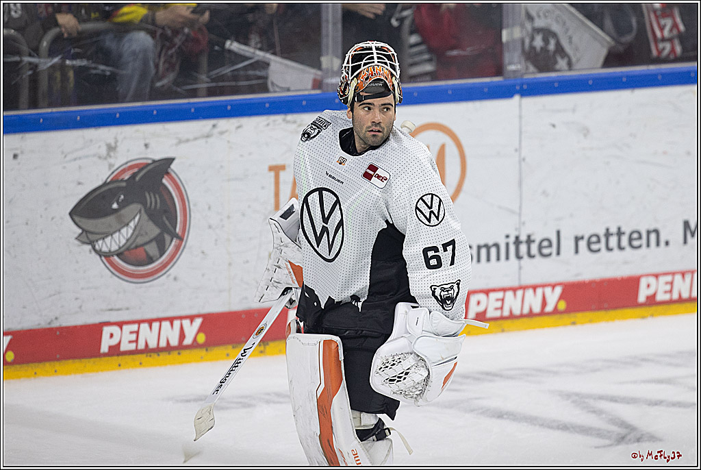 PENNY DEL 1; Kölner Haie - Grizzlys Wolfsburg; Köln, 27.10.2024