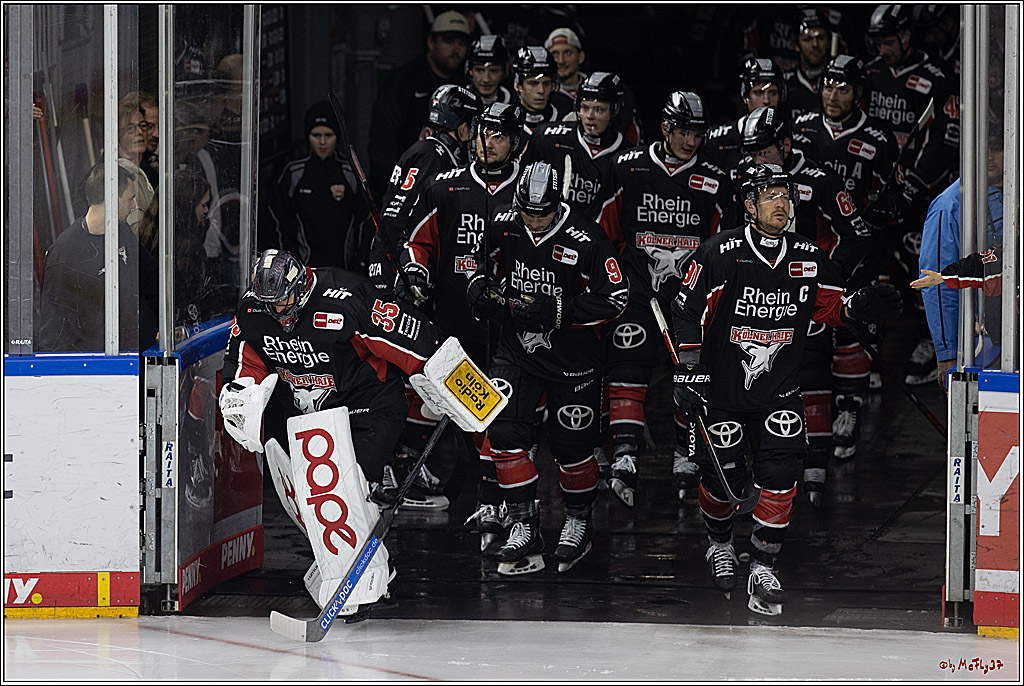 PENNY DEL 1; Kölner Haie - Grizzlys Wolfsburg; Köln, 27.10.2024