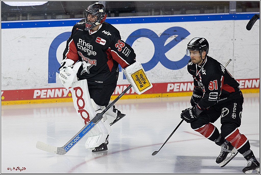 PENNY DEL 1; Kölner Haie - Grizzlys Wolfsburg; Köln, 27.10.2024