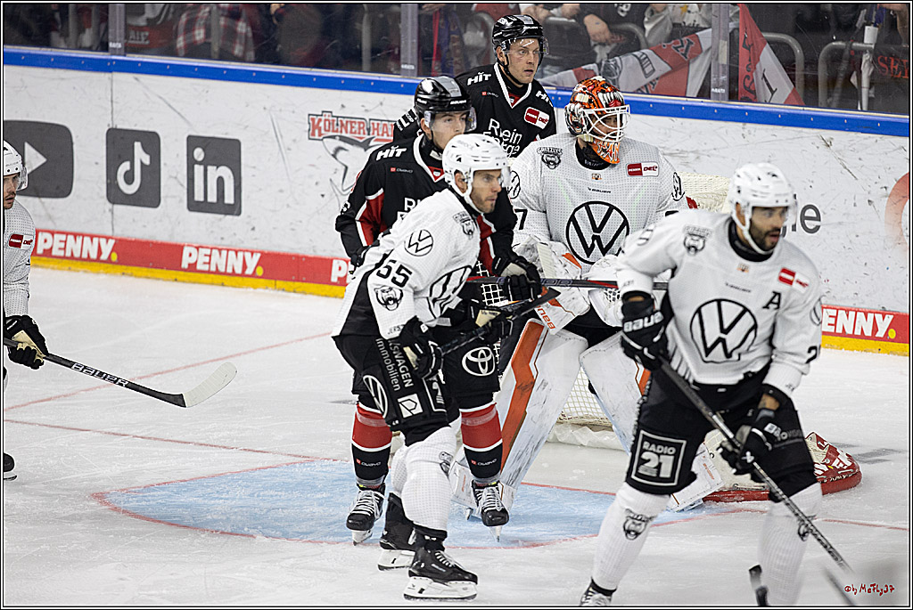 PENNY DEL 1; Kölner Haie - Grizzlys Wolfsburg; Köln, 27.10.2024