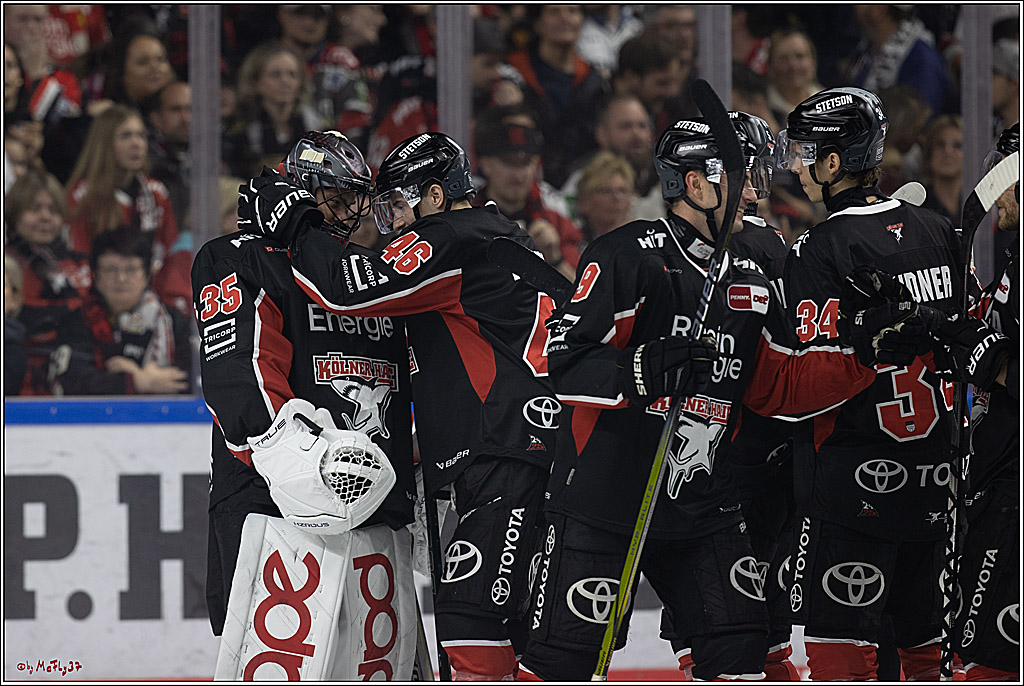 PENNY DEL 1; Kölner Haie - Grizzlys Wolfsburg; Köln, 27.10.2024