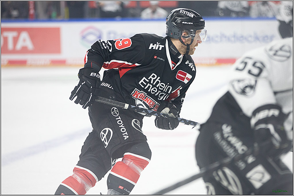 PENNY DEL; Koelner Haie-Grizzlys Wolfsburg; Koeln, 27.10.2024