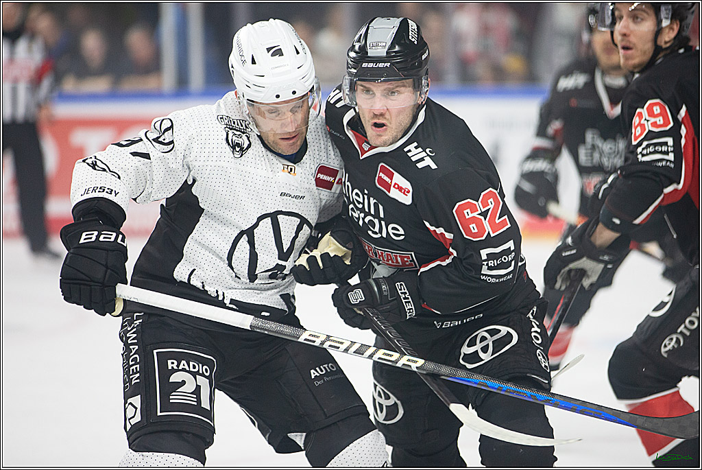 PENNY DEL; Koelner Haie-Grizzlys Wolfsburg; Koeln, 27.10.2024