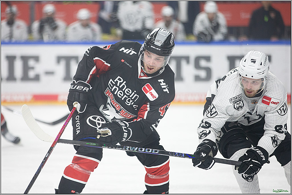 PENNY DEL; Koelner Haie-Grizzlys Wolfsburg; Koeln, 27.10.2024