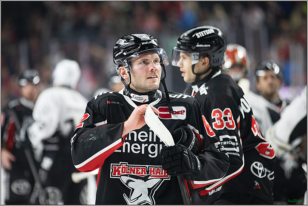 PENNY DEL; Koelner Haie-Grizzlys Wolfsburg; Koeln, 27.10.2024