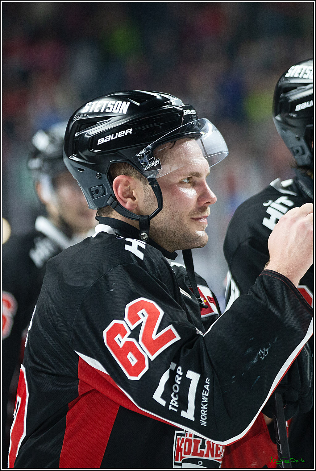 PENNY DEL; Koelner Haie-Grizzlys Wolfsburg; Koeln, 27.10.2024