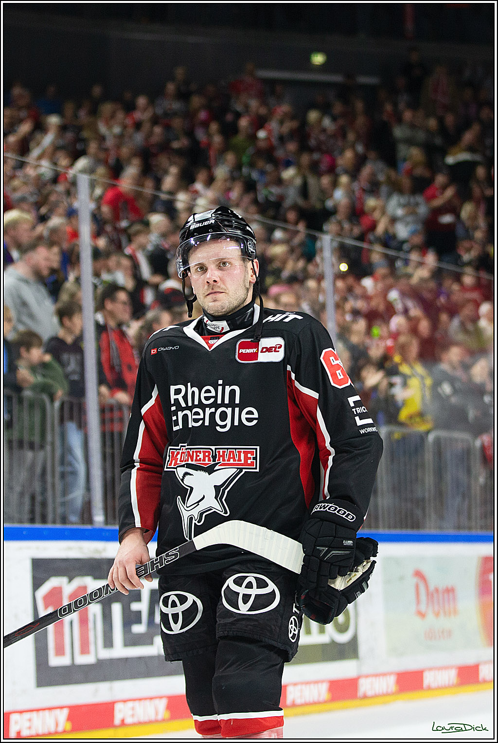 PENNY DEL; Koelner Haie-Grizzlys Wolfsburg; Koeln, 27.10.2024