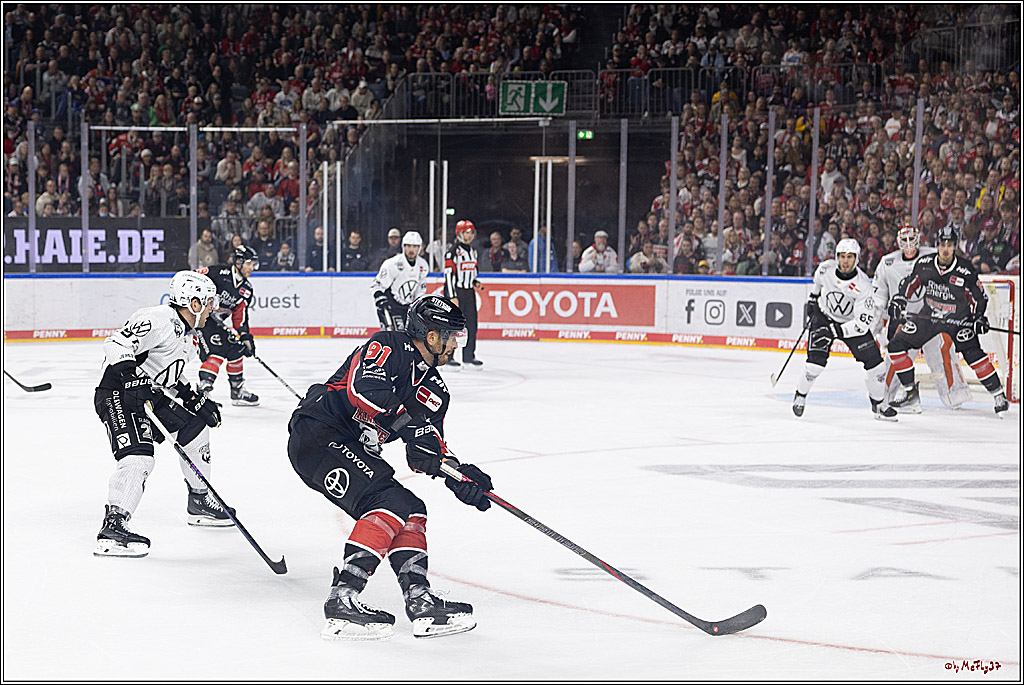 PENNY DEL 1; Kölner Haie - Grizzlys Wolfsburg; Köln, 27.10.2024