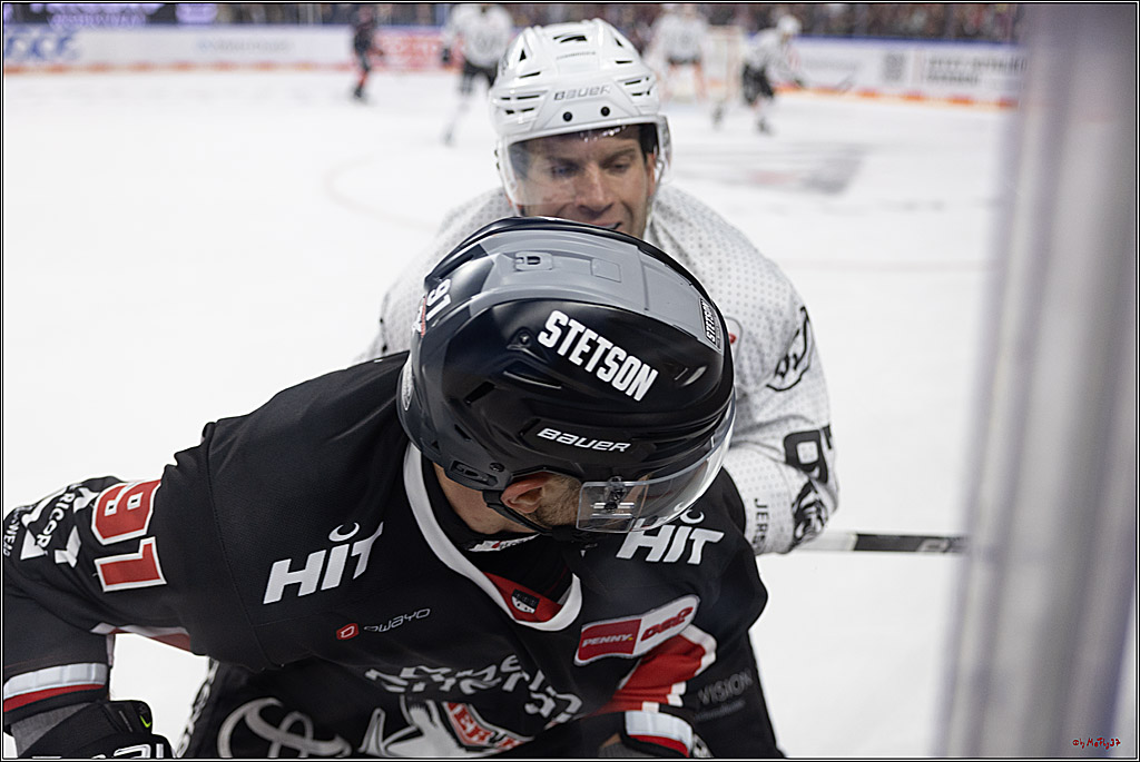 PENNY DEL 1; Kölner Haie - Grizzlys Wolfsburg; Köln, 27.10.2024