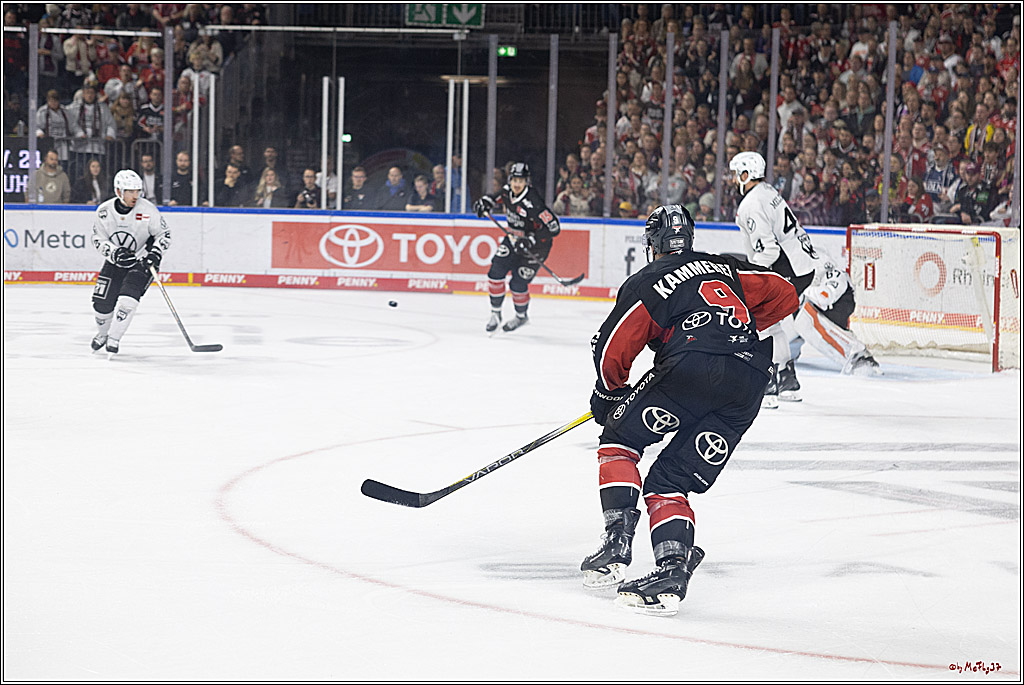 PENNY DEL 1; Kölner Haie - Grizzlys Wolfsburg; Köln, 27.10.2024