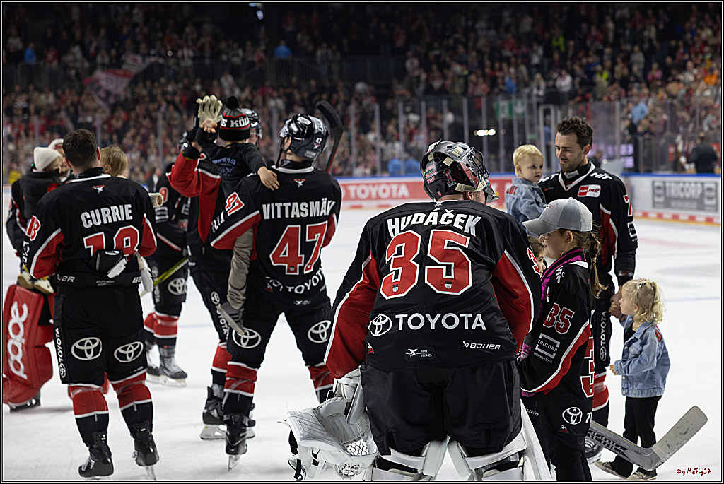 PENNY DEL 1; Kölner Haie - Grizzlys Wolfsburg; Köln, 27.10.2024