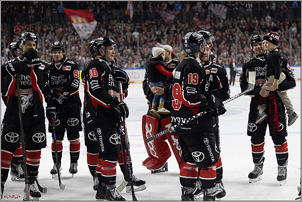 PENNY DEL 1; Kölner Haie - Grizzlys Wolfsburg; Köln, 27.10.2024